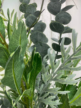38" Variegated Veronica Drop-in