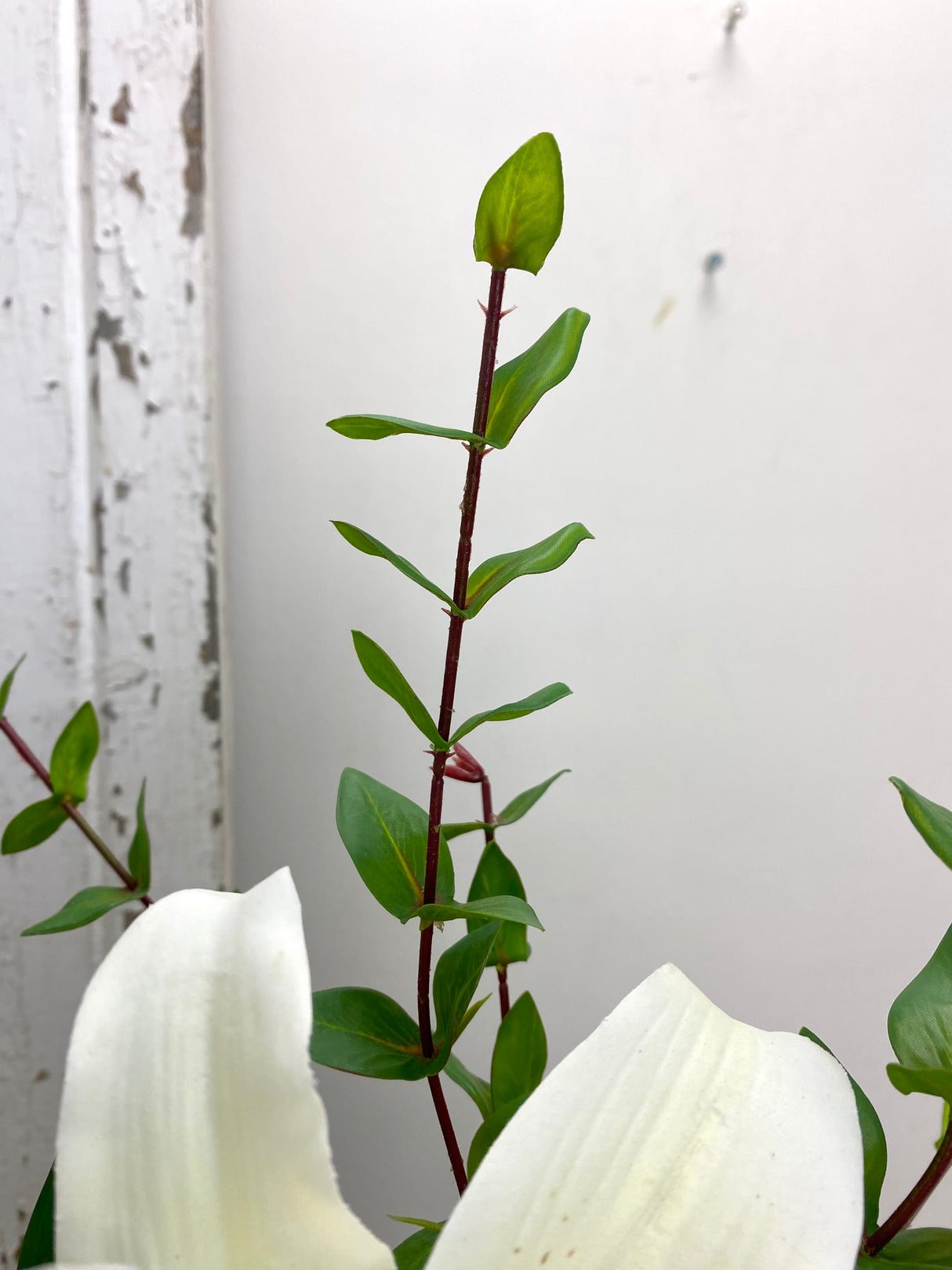 26" Sunday Centerpiece