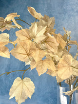 Draping Beige Maple Leaf Spray