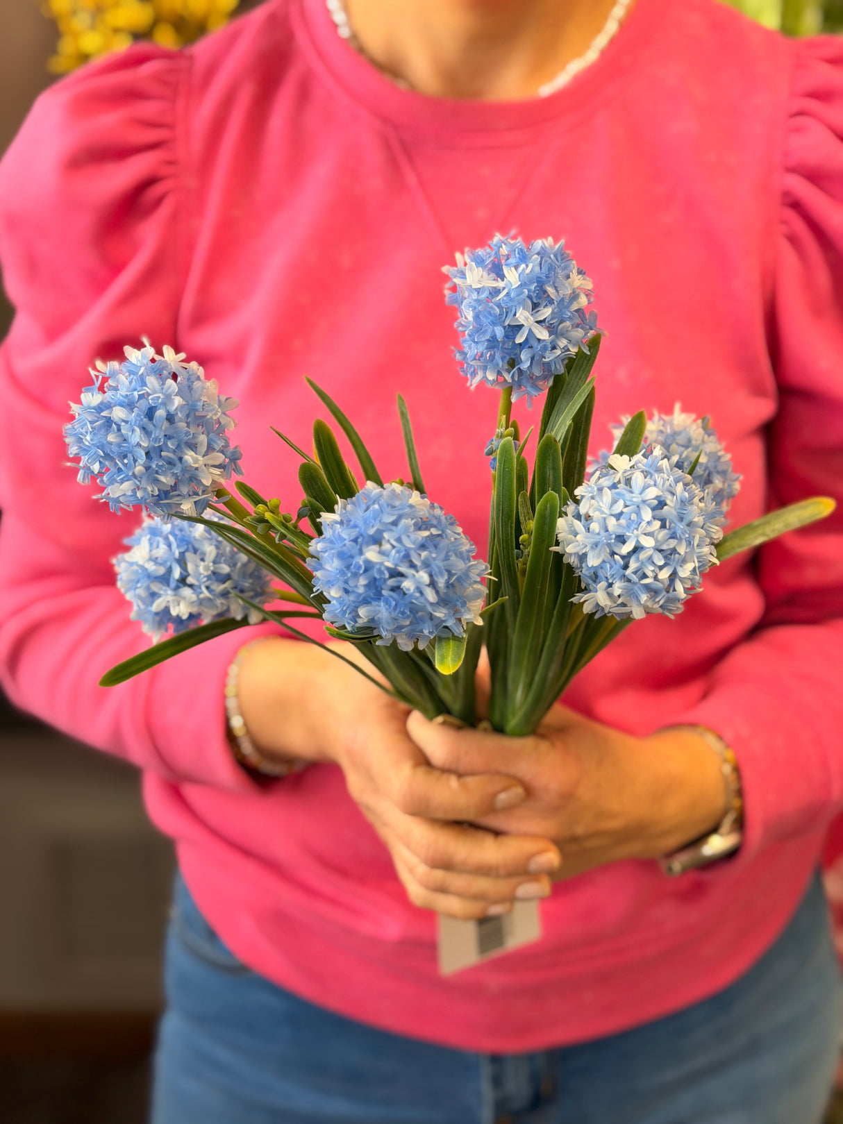 Blue Wild Allium Bundle
