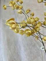 Golden Autumnal Chinese Lantern Spray