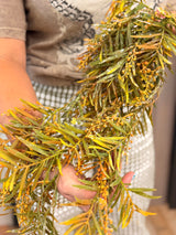 Orange Fall Bald Cypress Hanging Vine