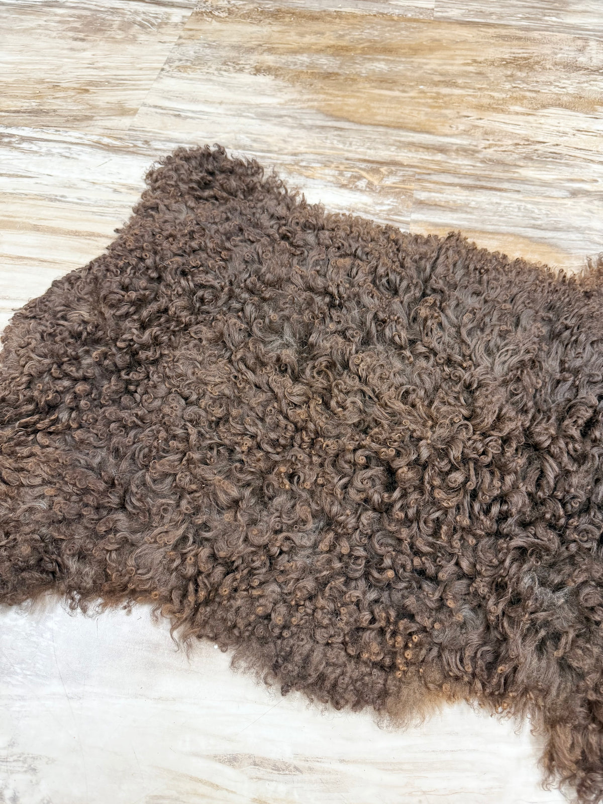 Tan Spotted Rug Curlyskin Spotted Melange Rug – Magnolias Home Decor and Design