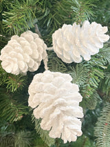 White Iced Cone Spray