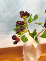 Wine Boysenberry Spray