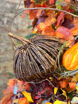 Raven Small Vine Pumpkin