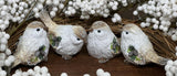Winter Wing Bird