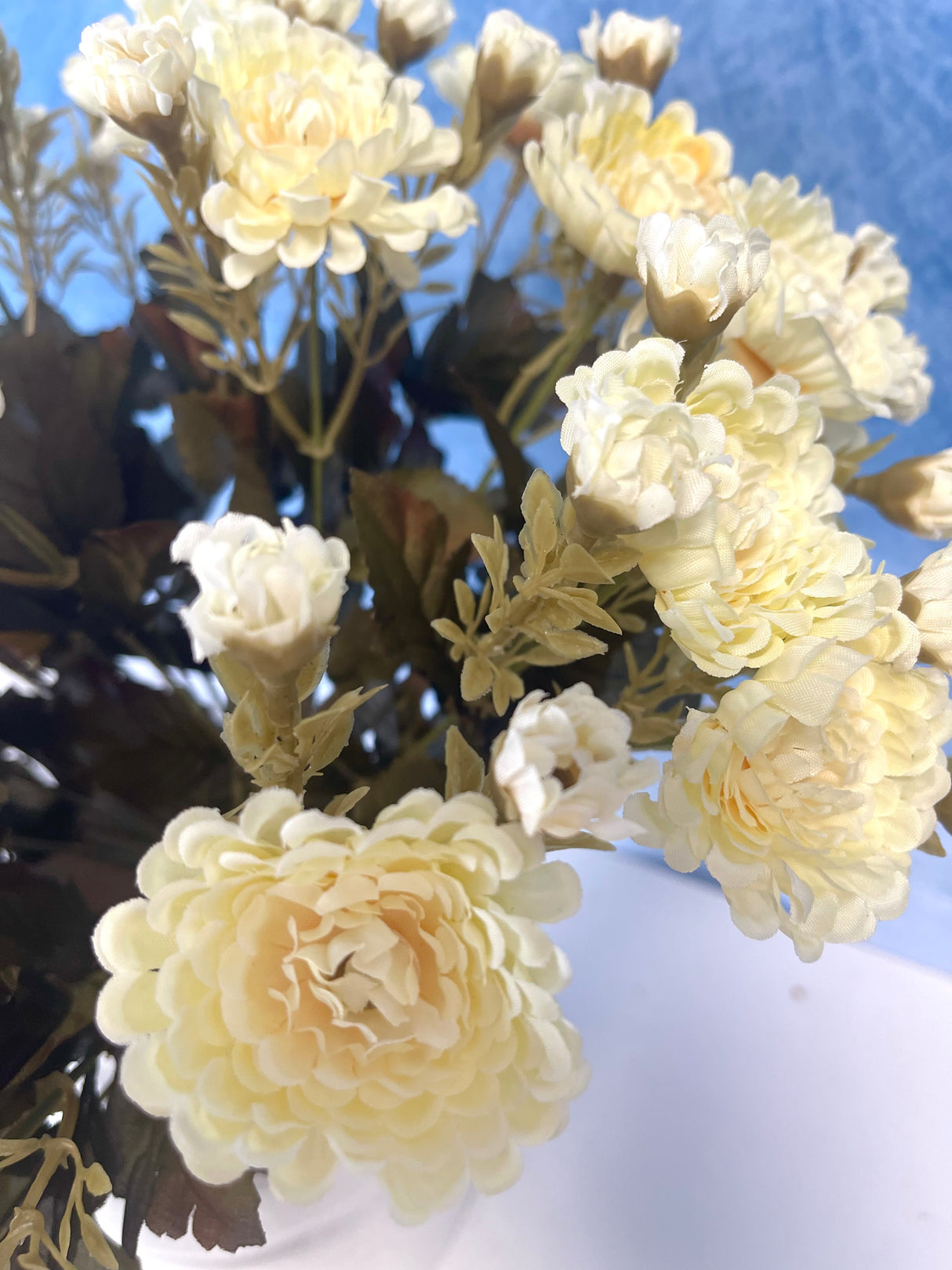Ivory Mum Bush