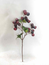 Plum Berry Spray