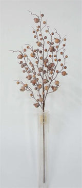 Hazelnut Currant Berry Branch