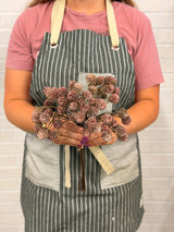 Purple Mini Pinecone Bundle