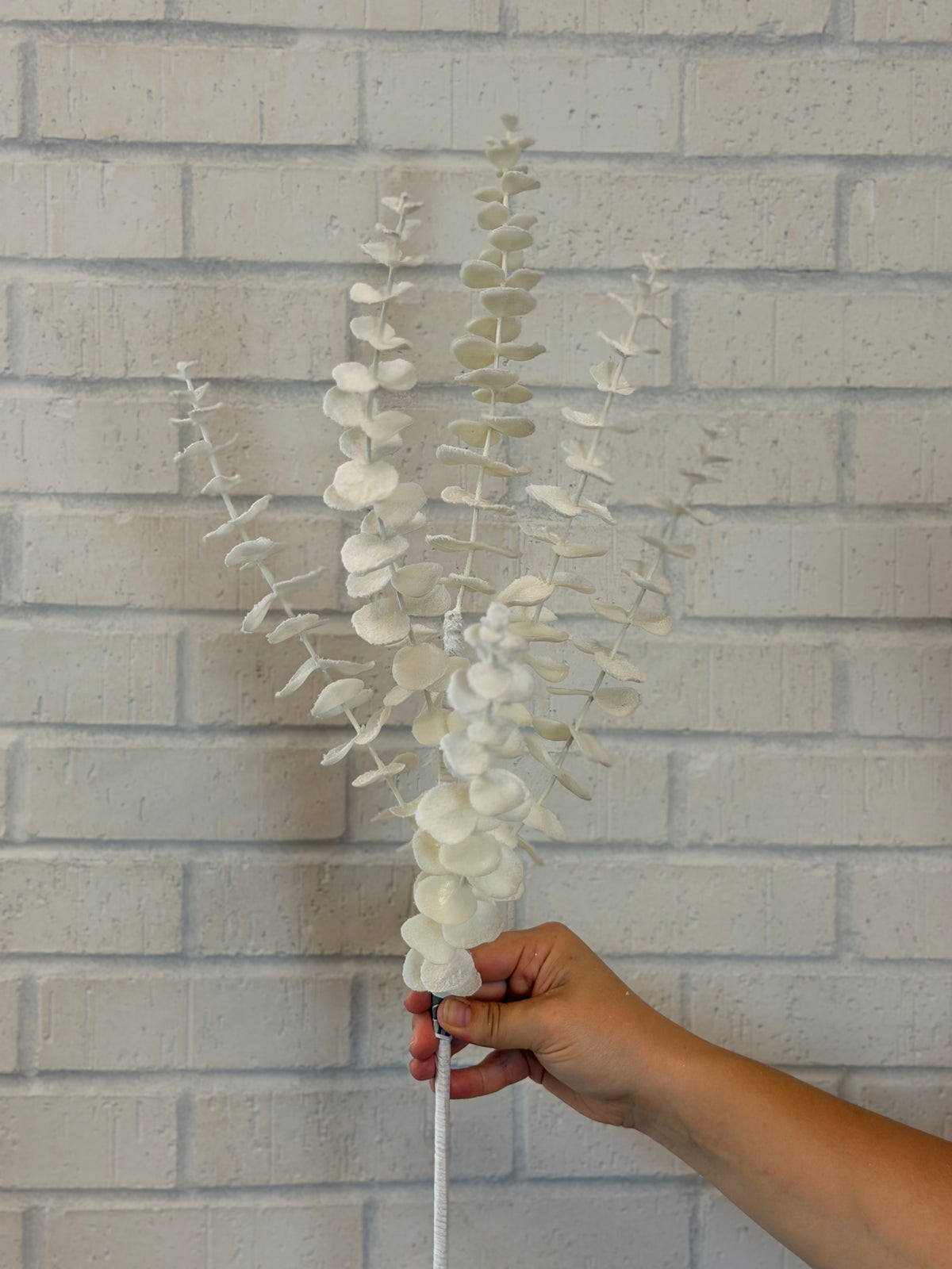White Snow Eucalyptus Leaf Spray