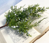 Winter Story Juniper Spray