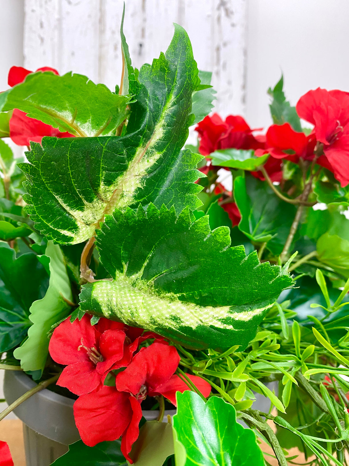 15" UV Protect Red Draping Geranium Pot-filler