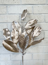 Champagne American Magnolia Leaf Spray