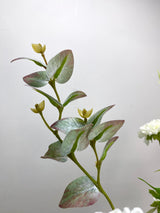 35" White Beauty Drop-in