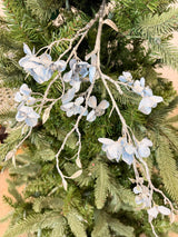 Blue Silver Winter Dogwood Spray
