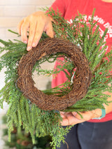 14" Juniper Cypress Wreath