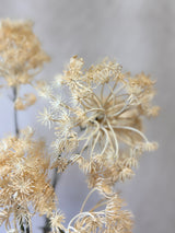 Autumn Queen Anne's Lace Spray
