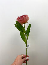 Red Open Needle Protea Spray