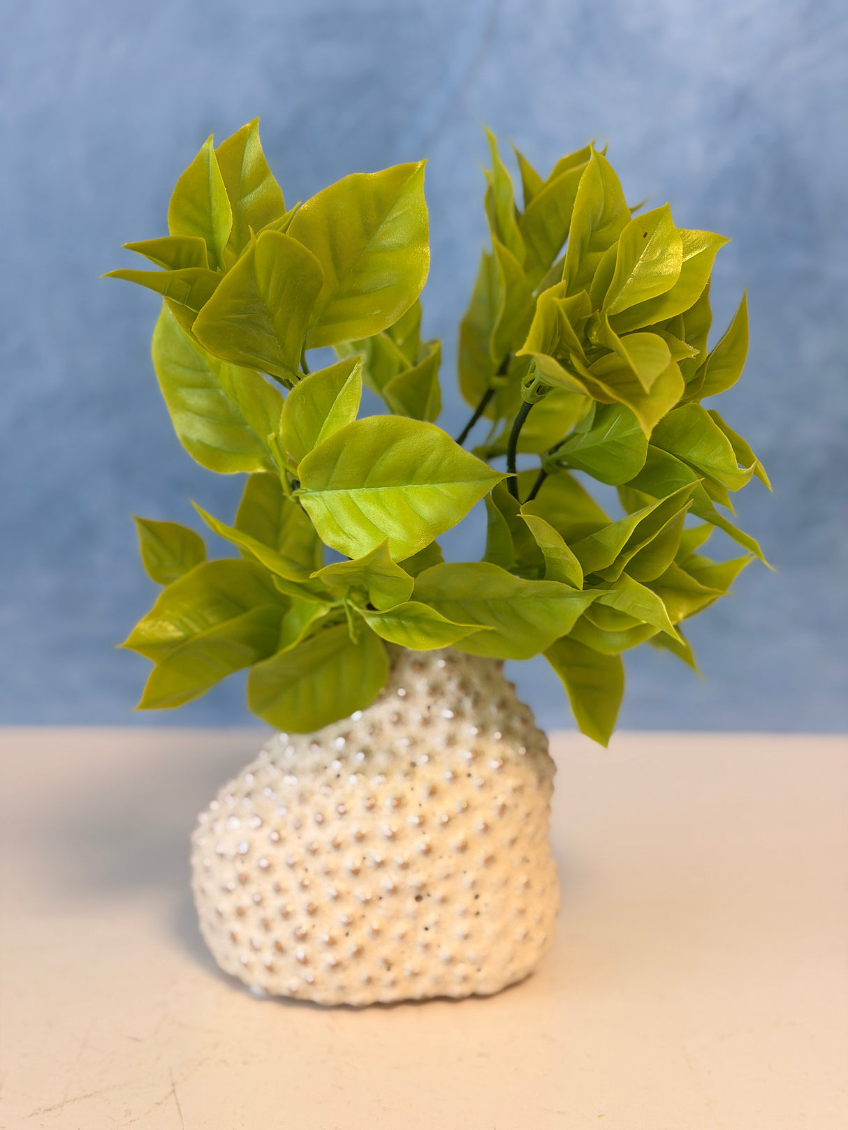 UV Protect Gardenia Leaf Bush