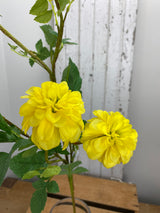Yellow Dahlia Spray