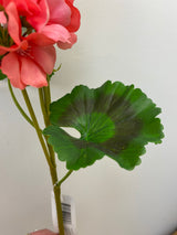 UV Protect Coral Soft Touch Geranium Spray
