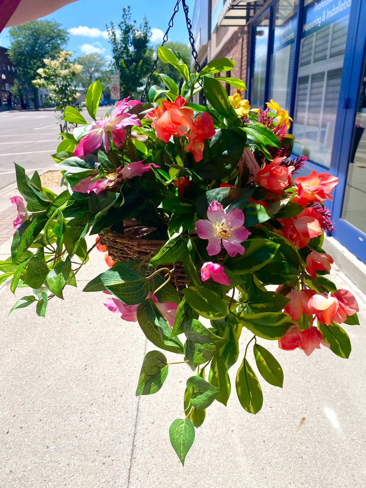 23" Summer Tropical Breeze Hanging Basket