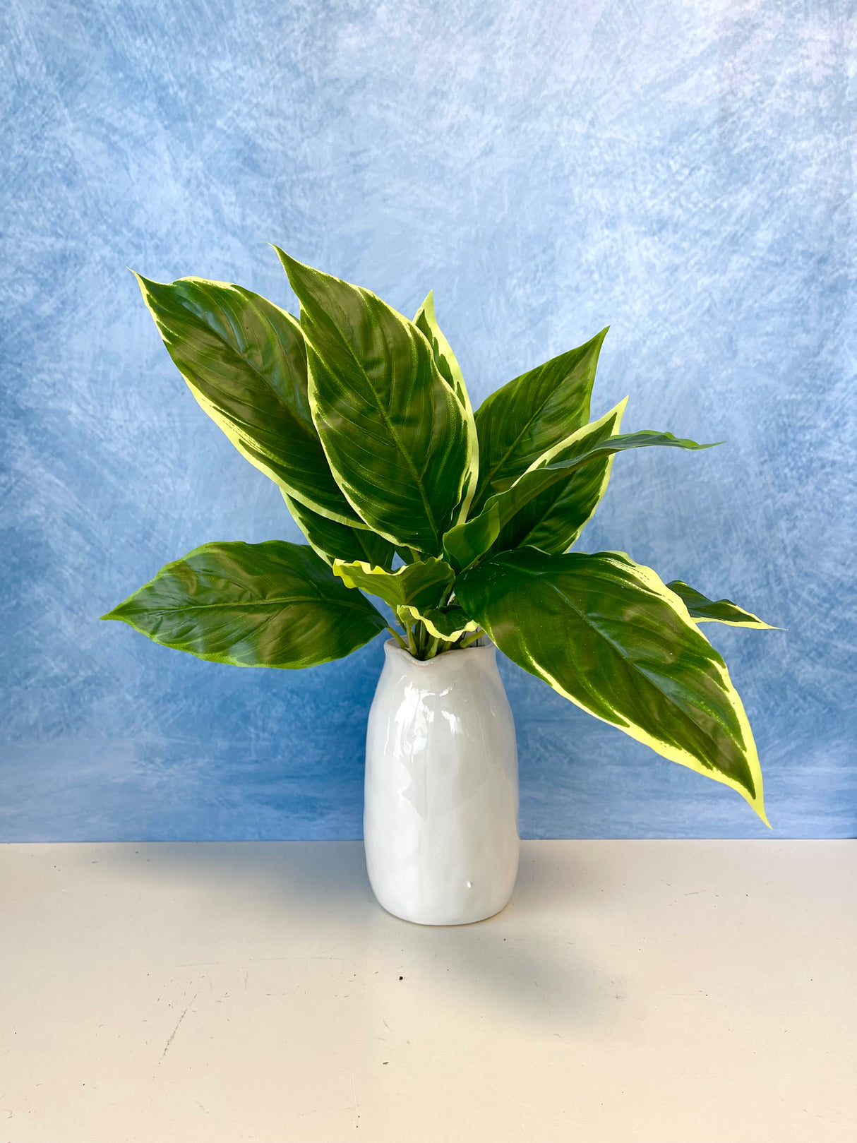 UV Protect Garden Hosta Bush