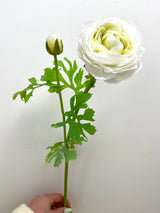 White Ranunculus Spray