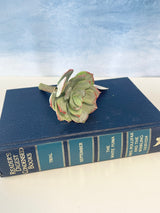 Sage & Red Echeveria Pick