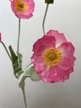 Pink Poppy Spray