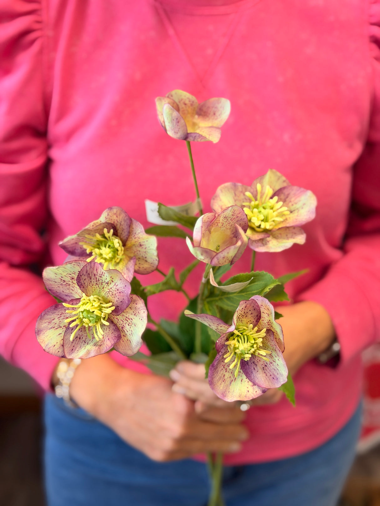 Plum & Green Hellebore Spray