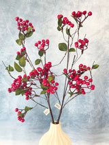 Red Hawthorn Berry Spray