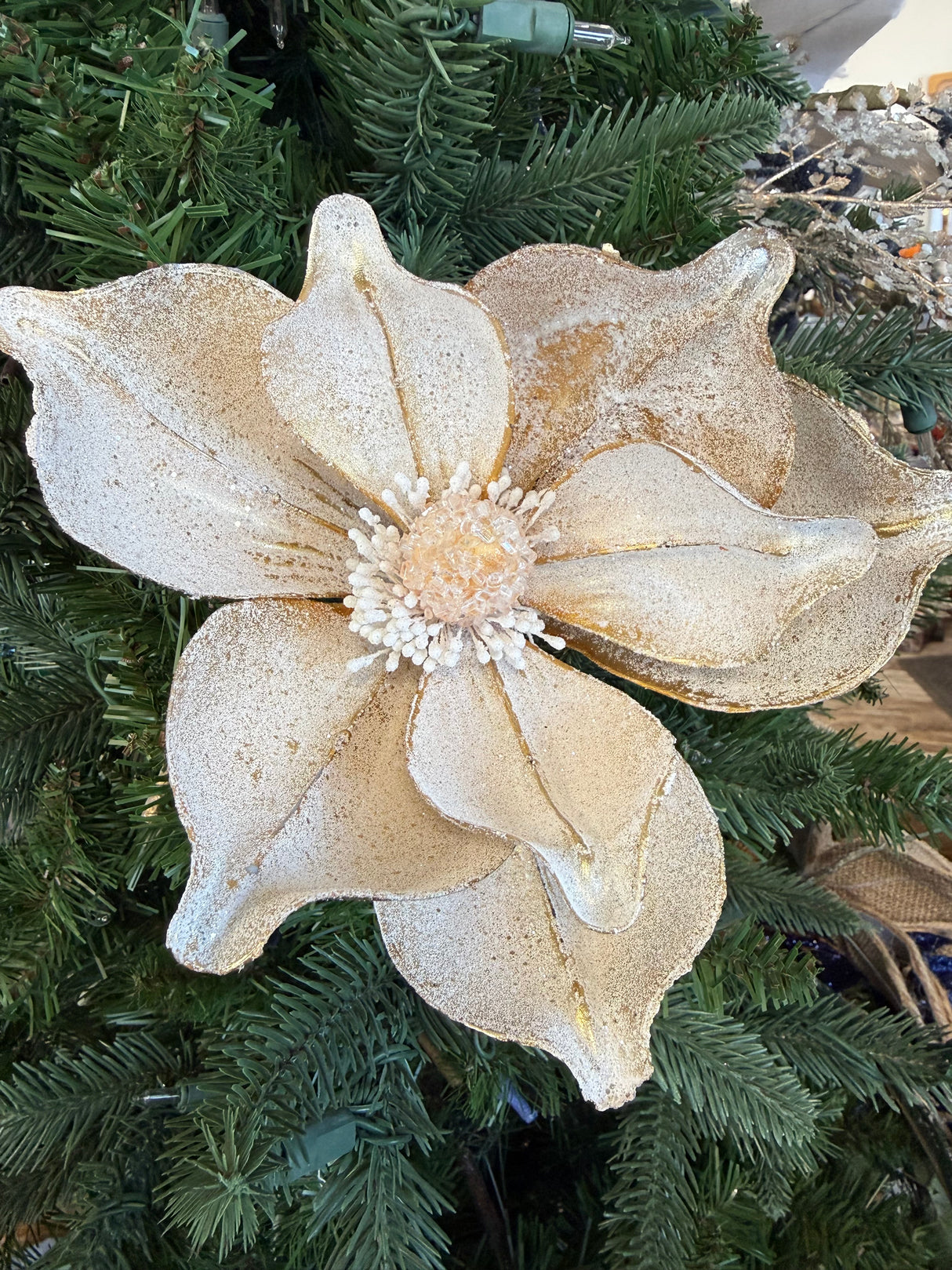 December Delights Frosted Magnolia Stem