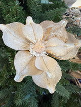 December Delights Frosted Magnolia Stem