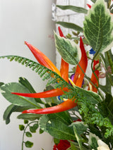 34" Bahama Bliss Drop-in
