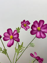Pink Beauty Cosmos Spray