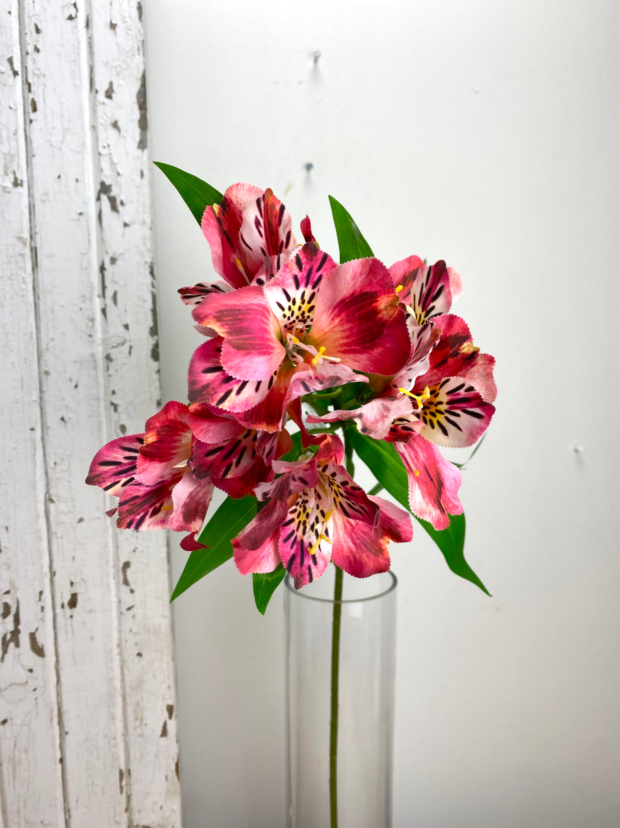 Pink Alstroemeria Spray