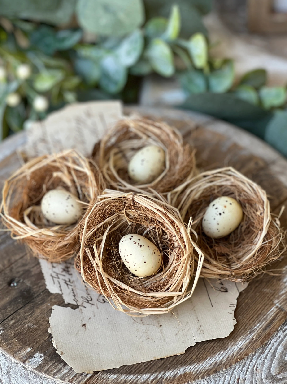 Brindled Bower Nest Box of 4