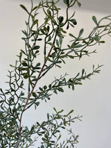 Green Lacewing Leaves Spray