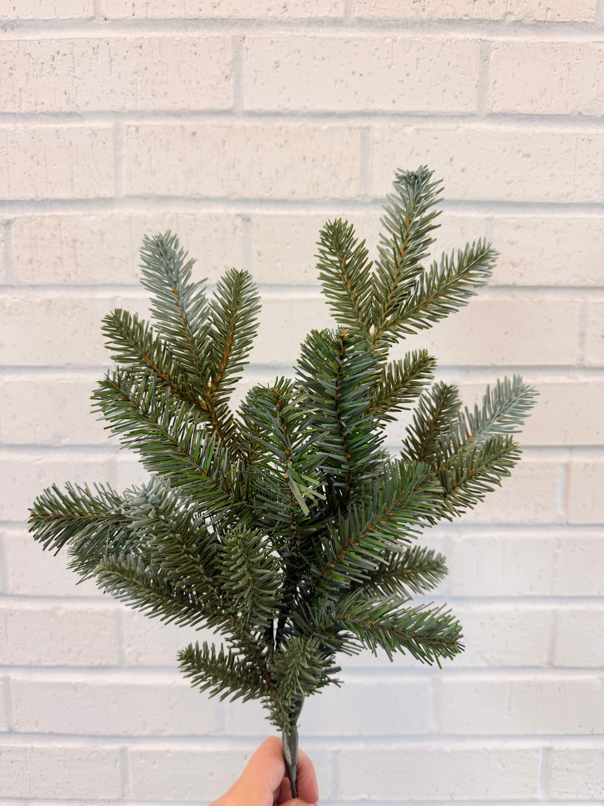 Blue Green Spruce Spray