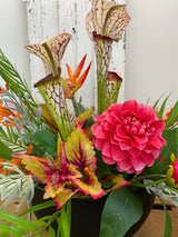 36" Island Flame Centerpiece