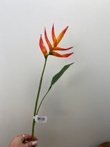 Orange Mini Heliconia Spray