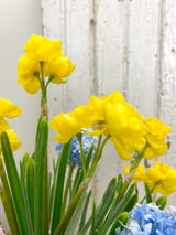 15" Spring In Bloom Centerpiece