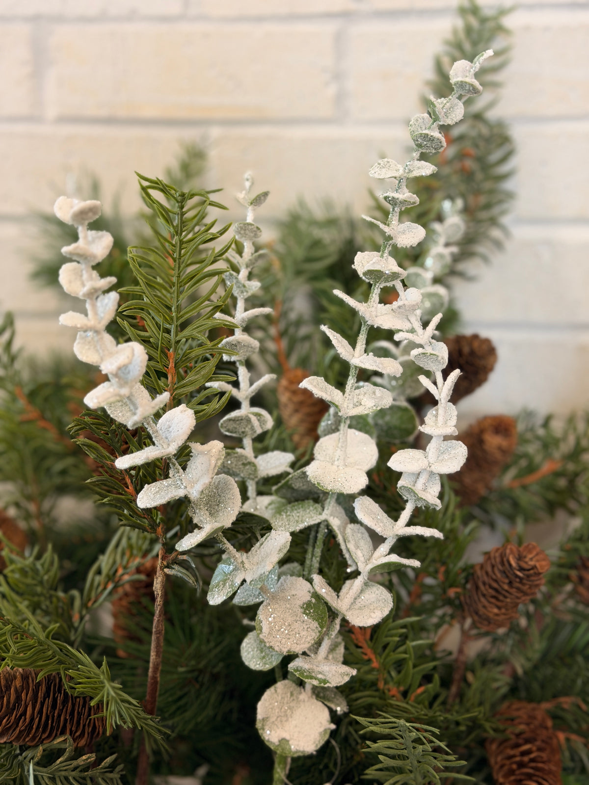 White Snowed Eucalyptus Spray