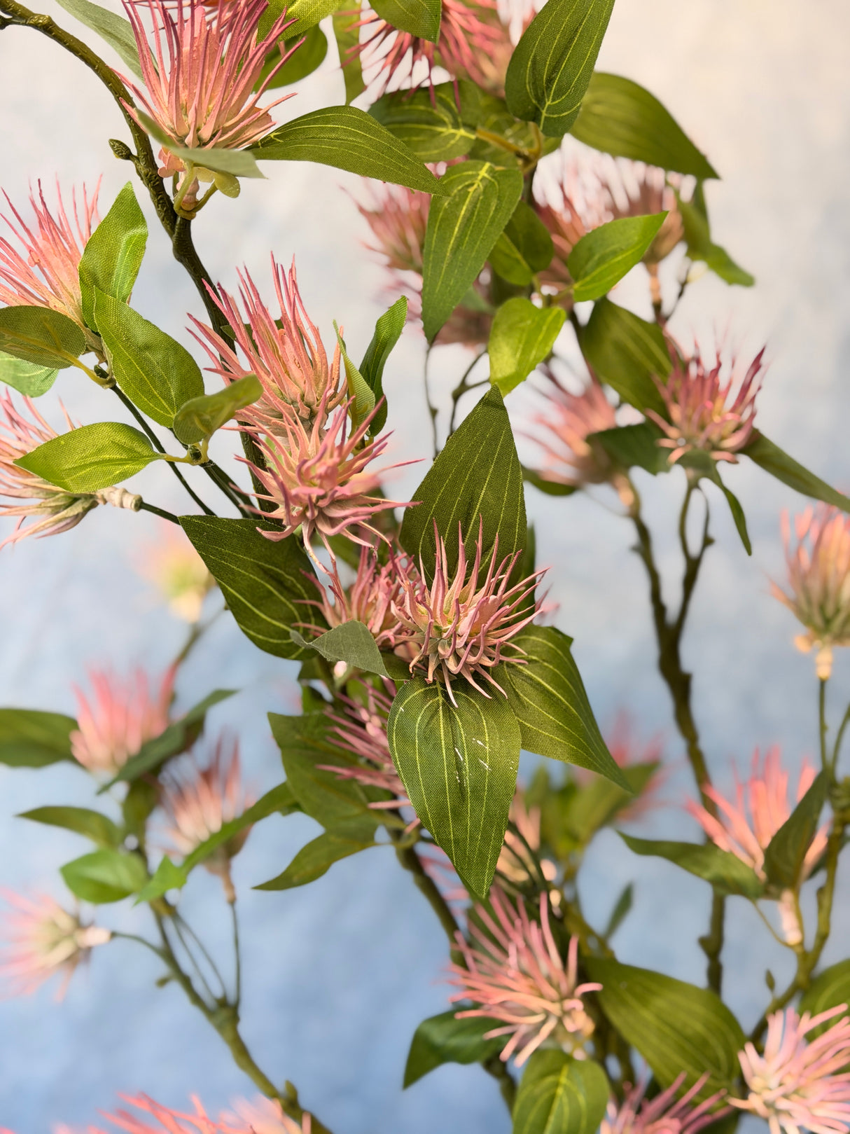 Pink Pine Leaf Spray
