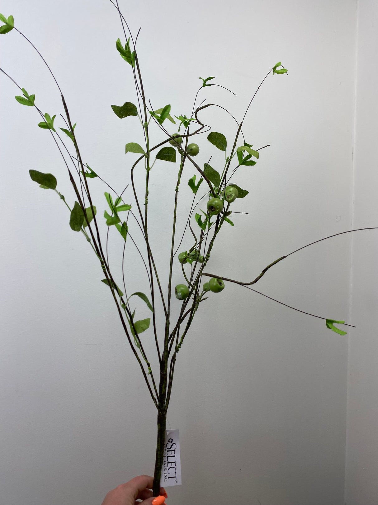 Crater Berry Twig Spray