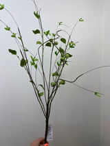 Crater Berry Twig Spray