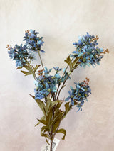 Lacecap Hydrangea Spray